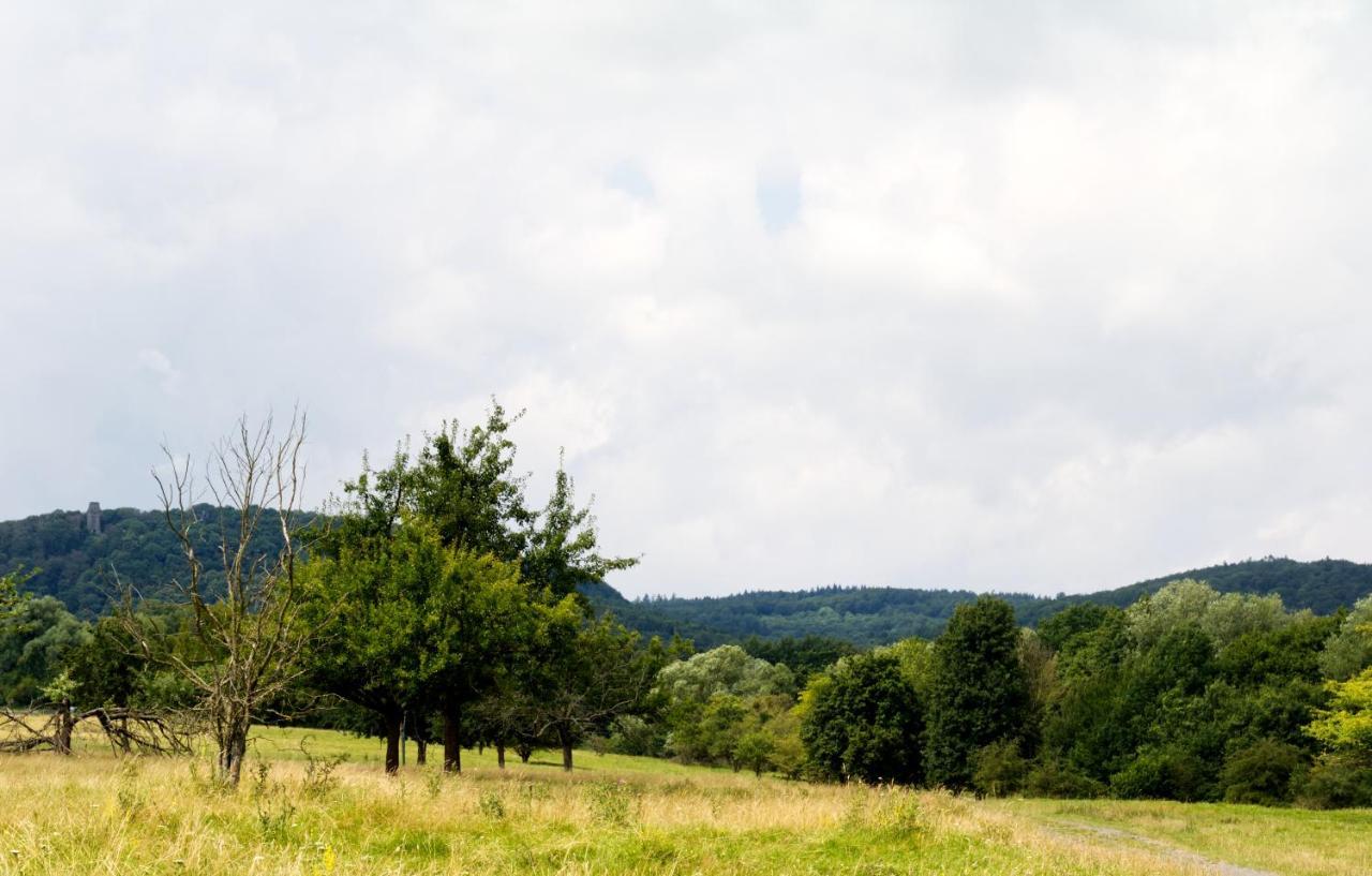 Souterrainwohnung Mit Grossem Garten Und Sauna Kassel Kültér fotó